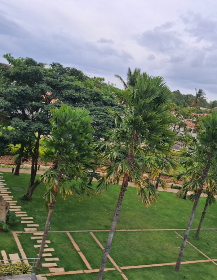 whatsapp image 2026 01 28 at 6.12.03 pm