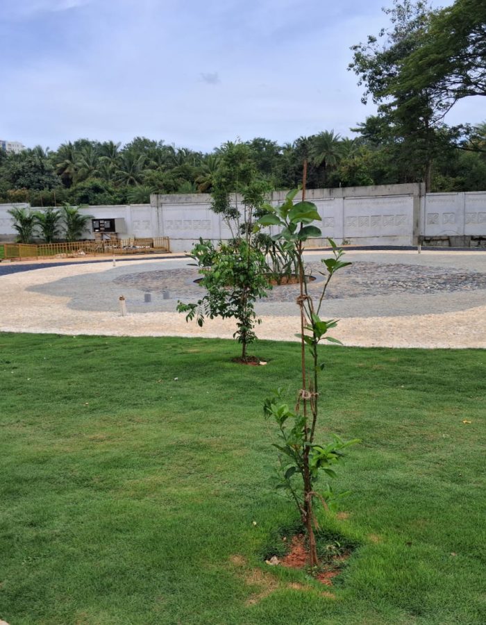 whatsapp image 2026 01 28 at 6.12.08 pm